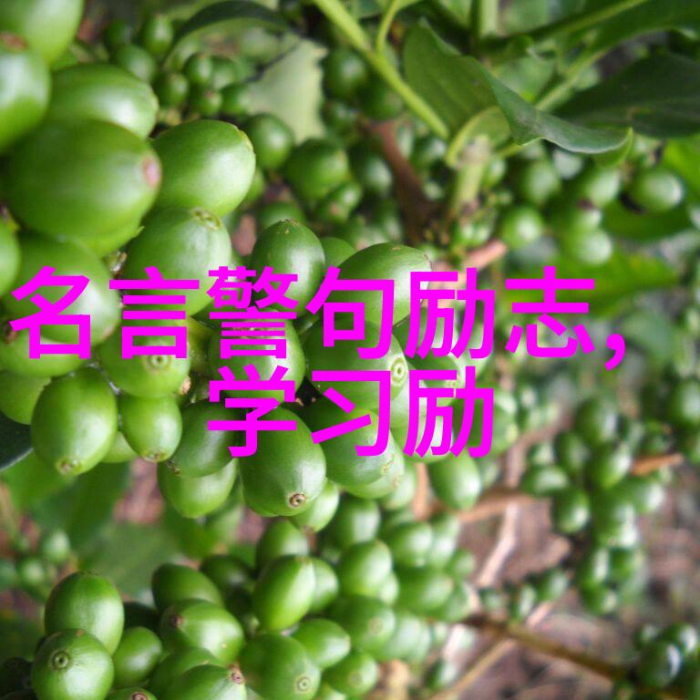 激励无限创意焕发的6分钟出色短片之旅