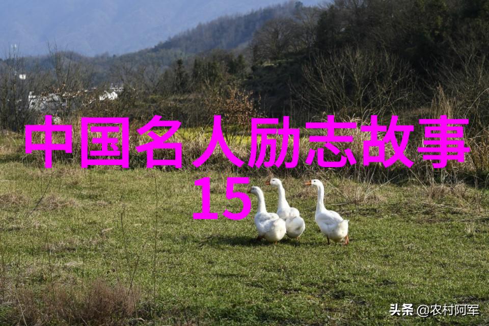 小学奇遇小朋友和魔豆的冒险