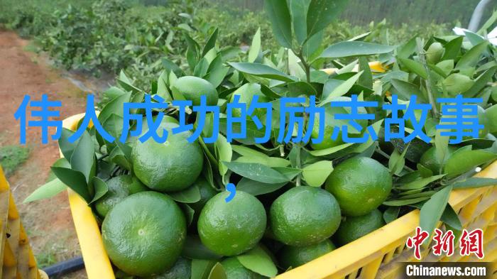 名人励志故事-李嘉诚从小店到全球商业帝国的创业奇迹