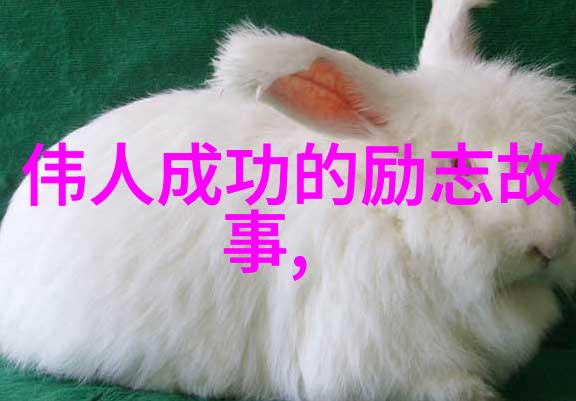 两个人一前一后攻击公交我亲眼见证了这场突如其来的恐怖行动