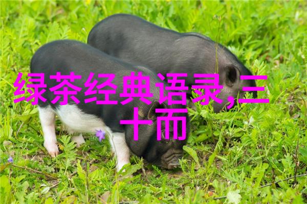 三星WP8在夜晚的情侣物品故事中如何看待WP系统