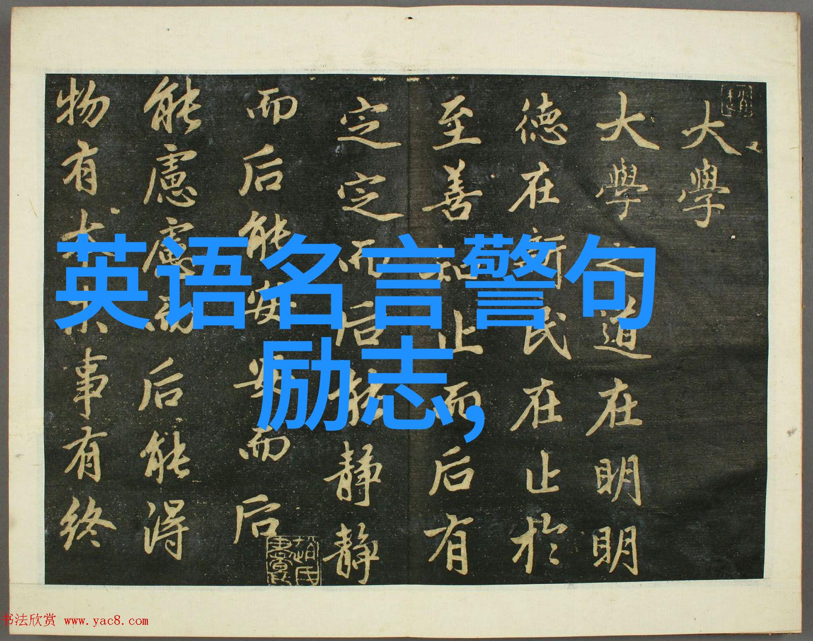 动漫经典语录面包我自己挣你给我爱情就好社会中穿梭的温馨共鸣