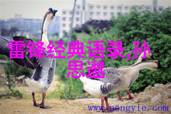 网恋聊天技巧学这3招变身撩妹大师轻松用土味情话大全撩女生