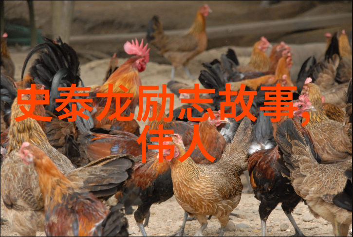 懒羊羊的温暖笑容如同刘涛的甜美声音令人心情舒畅