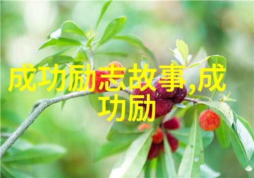 逆风挑战下击暴流的激荡岁月