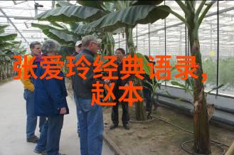 守护自然之美环保志士的无悔选择