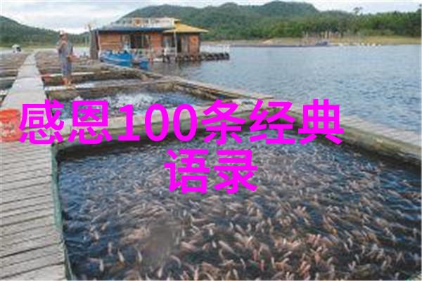 书香背后的力量叶浅平教育事业的心灵足迹