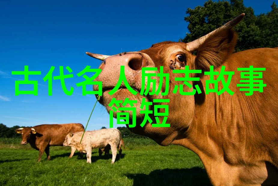 90后知名人物张雨绘的艺术梦想