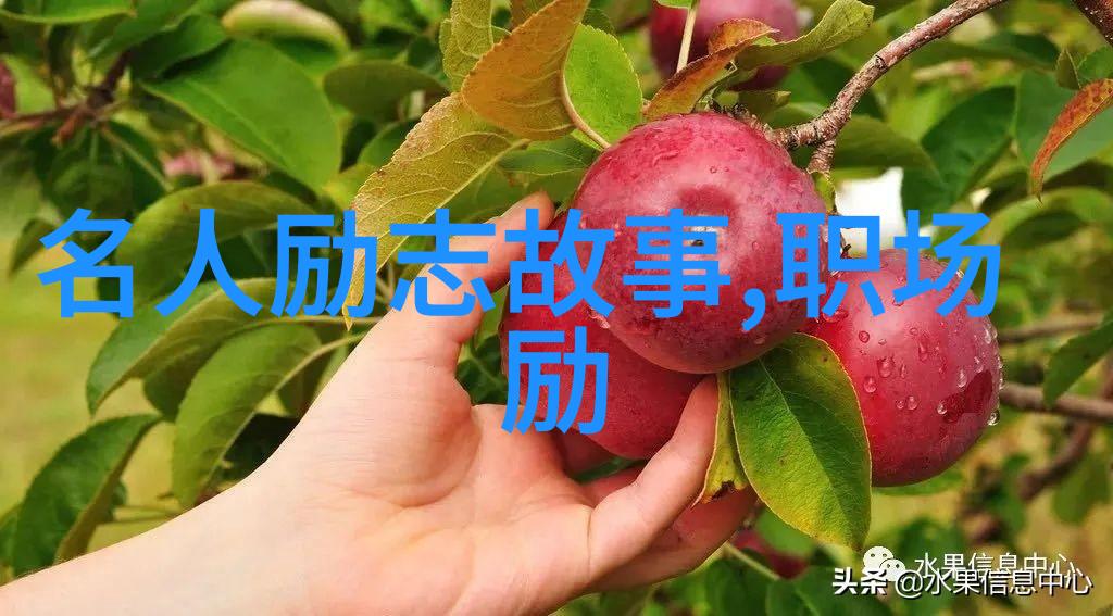 qvod123-qvod影音下载软件使用指南