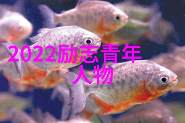 数字经济的代言人中国90后企业家的崛起