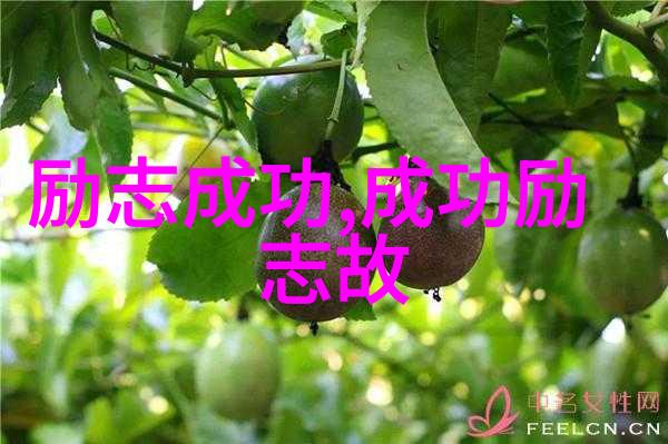 青春的终点站那片未知的天空