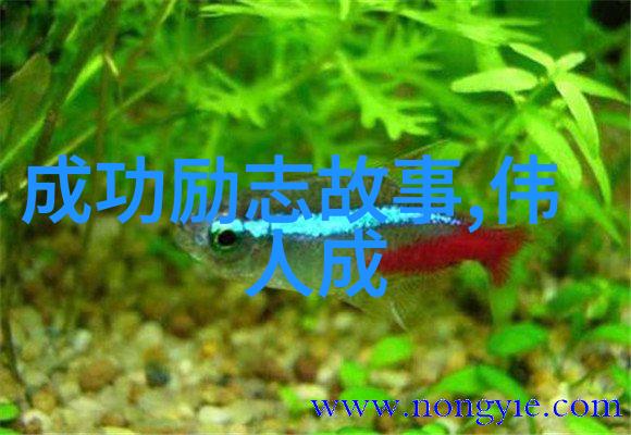 睡前小故事哄男朋友的试问一把十手我们有什么冷兵器对上它不会吃亏