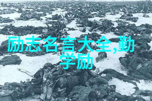 最美情话背后的求婚大师爱语无伦次
