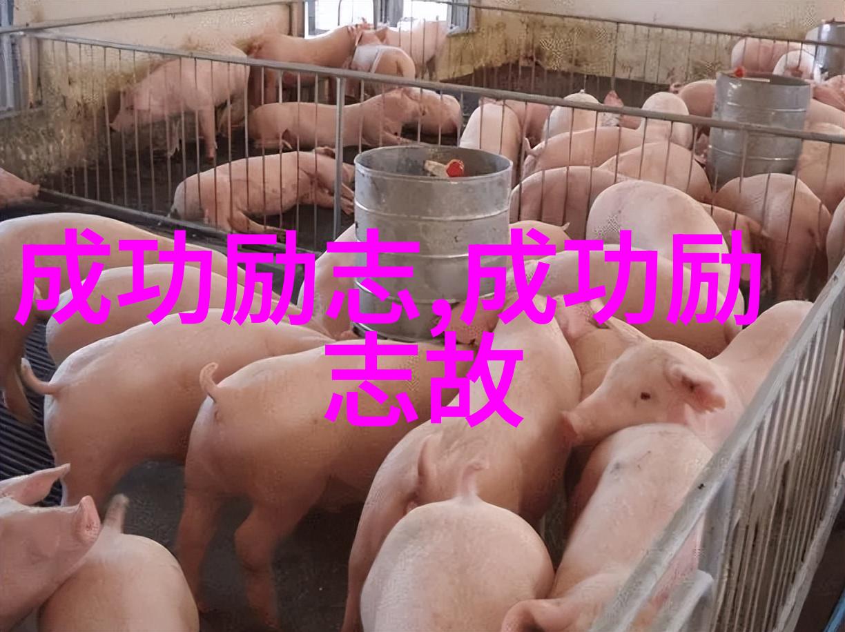 穿越时空的琴音一位中世纪匠人的意外之旅