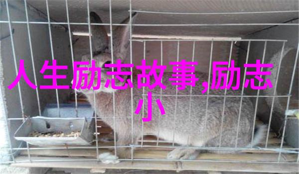 动漫经典语录-鼓足勇气的光之翼阿斯兰的灵感