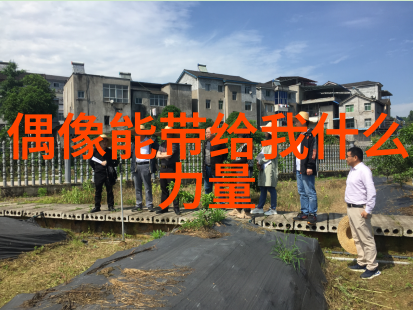 网页上的喘息探索快速呼吸与舌尖的艺术