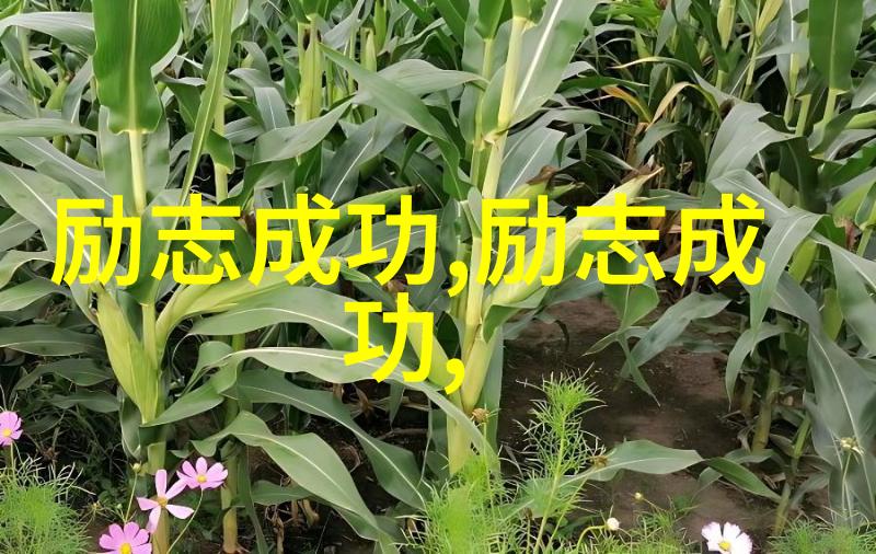 袁隆平从农村少年到世界农业之星的不凡征程