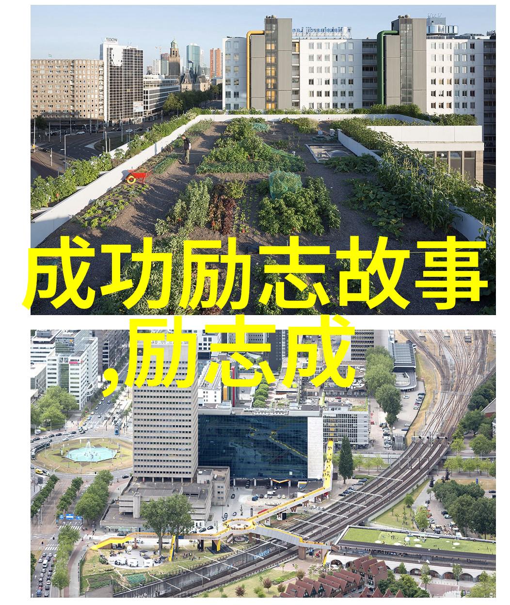 如何解读那些以不怕困难不畏艰险的形容来描述袁隆平的人格特质及其成就呢