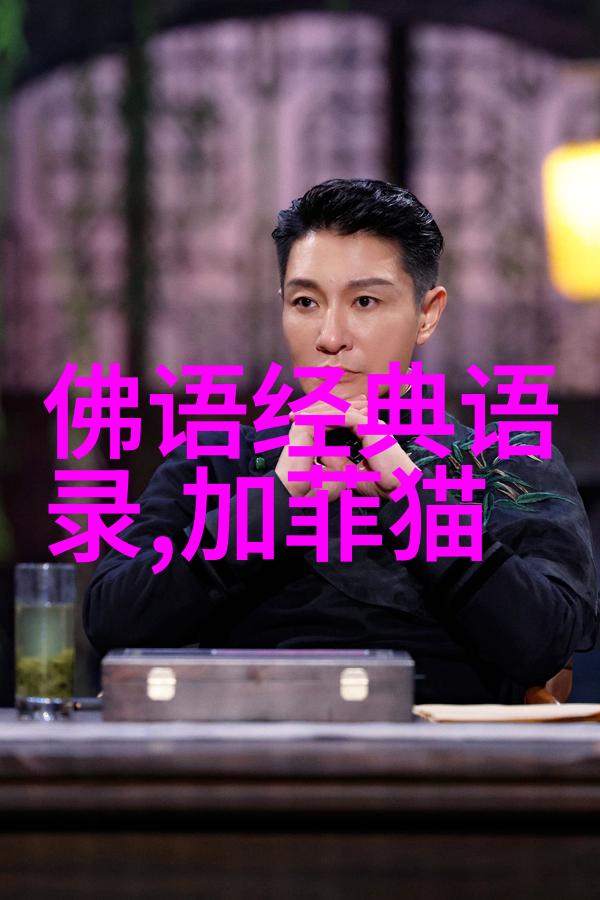 冬夜思绪一夜入冬的深沉情感