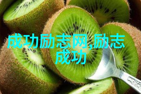 从零到英雄一个不屈不挠的商业奇迹