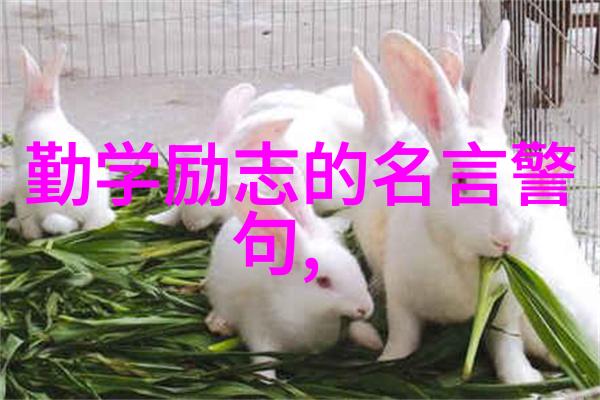 孕妇RAPPER潮水偷轨 - 创意无限生育不易孕期Rapper的逆袭之旅
