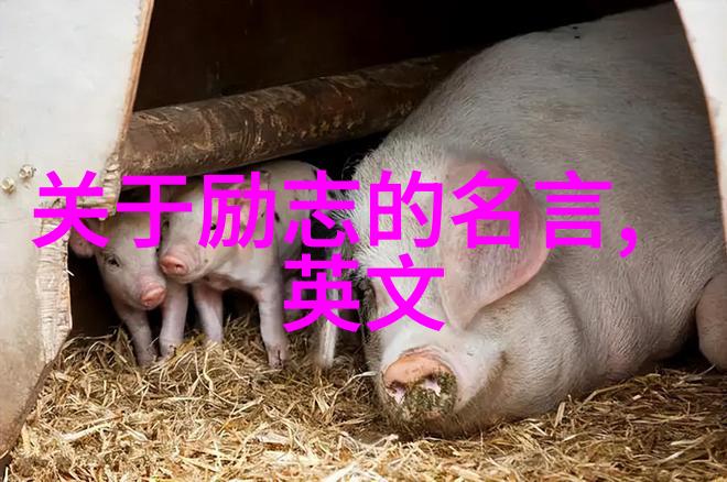 俞敏洪经典语录数据驱动分析