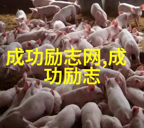 徐梦桃逆袭之路从小-town女孩到娱乐圈的明星