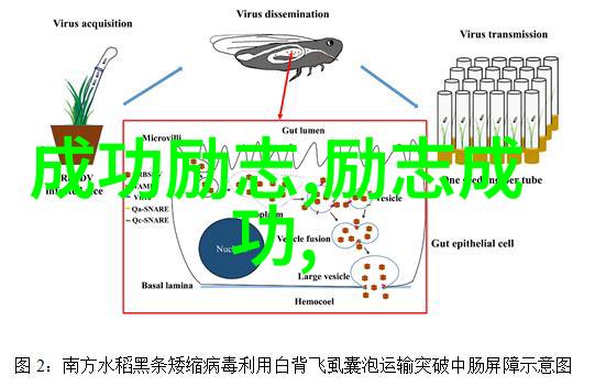 逆袭从废柴到成功的十年