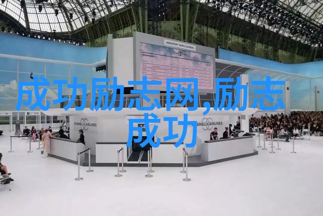 励志名人偶像逆袭之王征服成功的二路