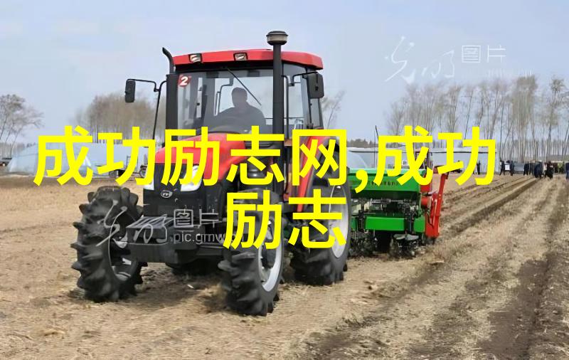现代中国典型人物励志故事 从逆境中崛起的钢铁侠