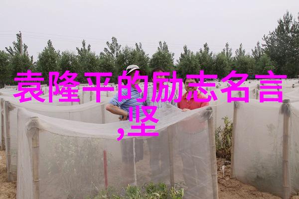 贺炜智慧抒露引领未来点亮希望