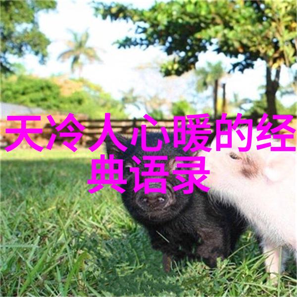 中国古代四大情圣的故事与宫崎骏爱情名言相遇于古籍之中