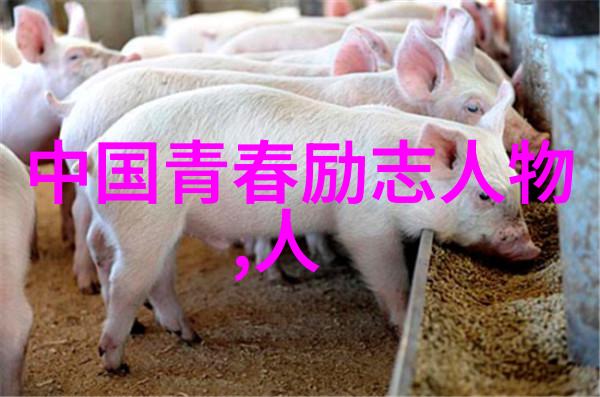 爱情租赁一段缘分的故事