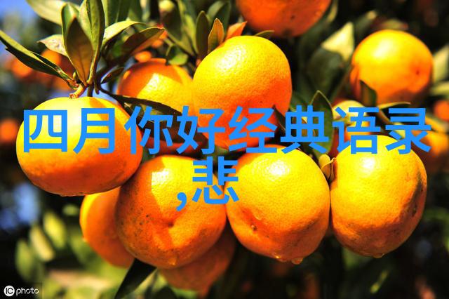 感恩之情父亲的经典语录与我