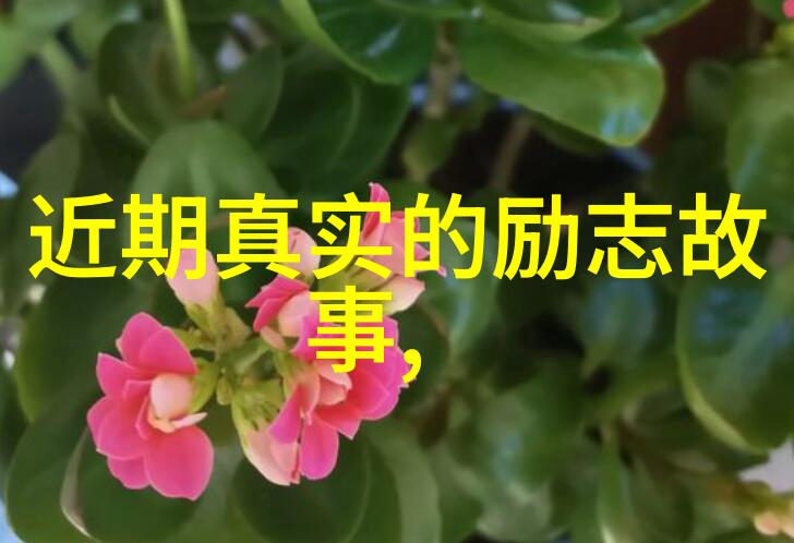 守护希望的角落中国感动十大人物的故事