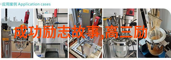 超越自我成功励志的学术视角与实践路径探究