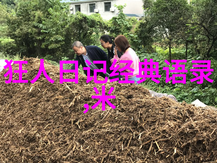 时光之桥下的哲理析摆渡人的深层含义