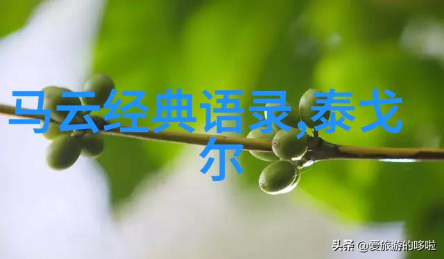 钱钟书经典语录-李白诗酒人生钱钟书的智慧引领