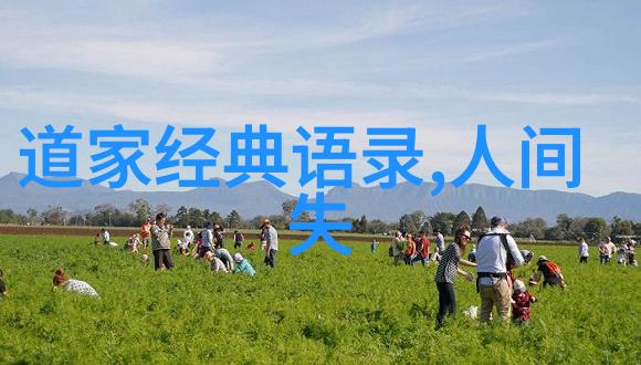 用电动牙刷自W到高C - 从入门者到高级用户电动牙刷使用技巧全解析