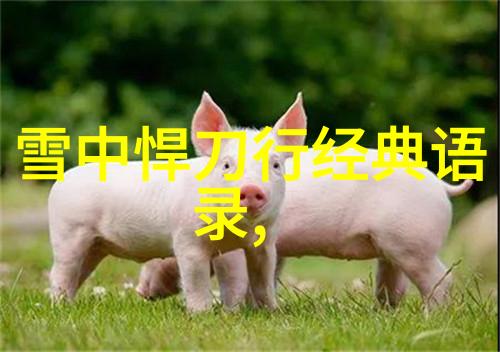 逆袭的力量从草根到亿万富翁的故事