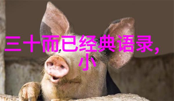 张居正理政以民为本的明朝重臣故事