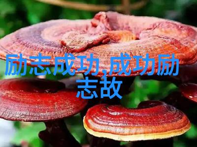 中国典型人物励志故事现代我是李雷一个普通的工人但我的故事能激励你