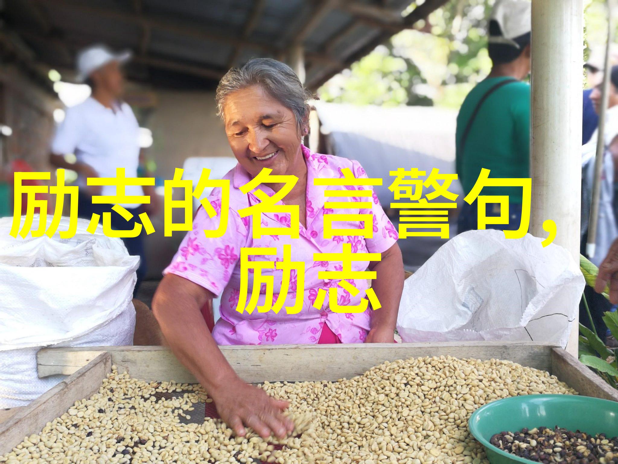 追梦者逆袭的光芒