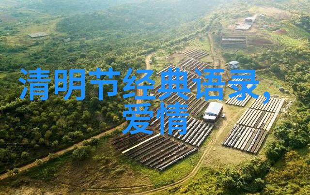 历史长河中的五个人物事迹摘抄与启示