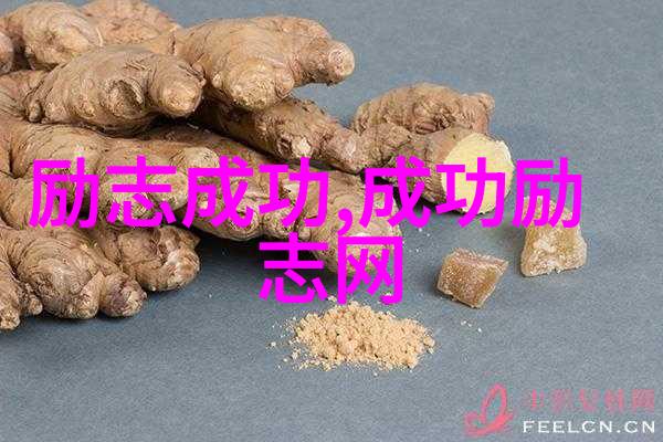 荒凉的末日探索死城中的末世世界