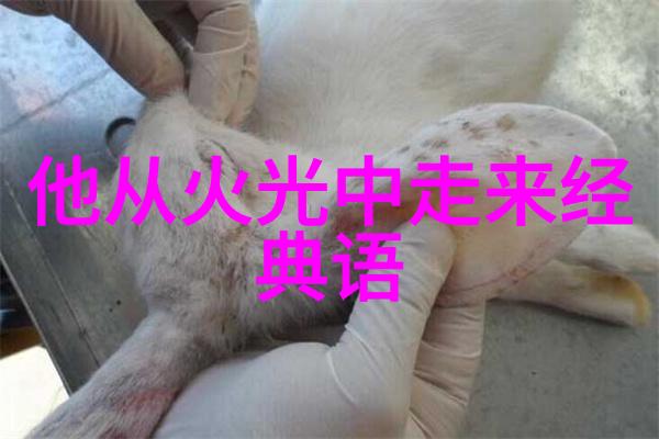 镜辟天揭秘古老文明的神秘之眼