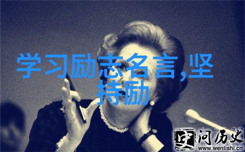 陈年凡客诚品CEO上帝赋予的局限与伟大历史人物事迹对偶