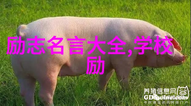 友情岁月MV时光倒流的交响曲