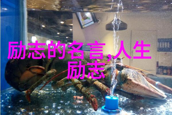 有关青春励志的名人故事 - 李稀鹏逆袭之王少年创业成就亿万富翁