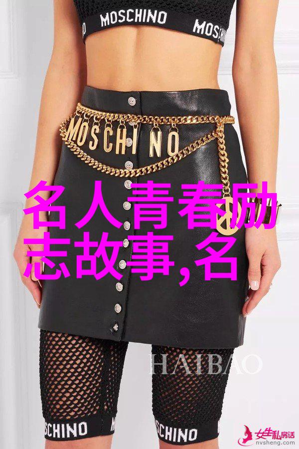 海贼之王无畏风浪的智慧与勇气
